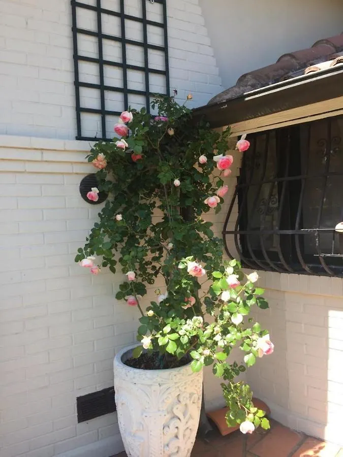 L'Albero Dei Gufi Bed & Breakfast Copparo Italy