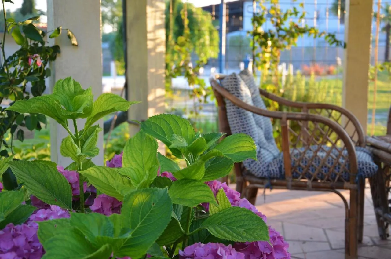 L'Albero Dei Gufi Bed & Breakfast Copparo
