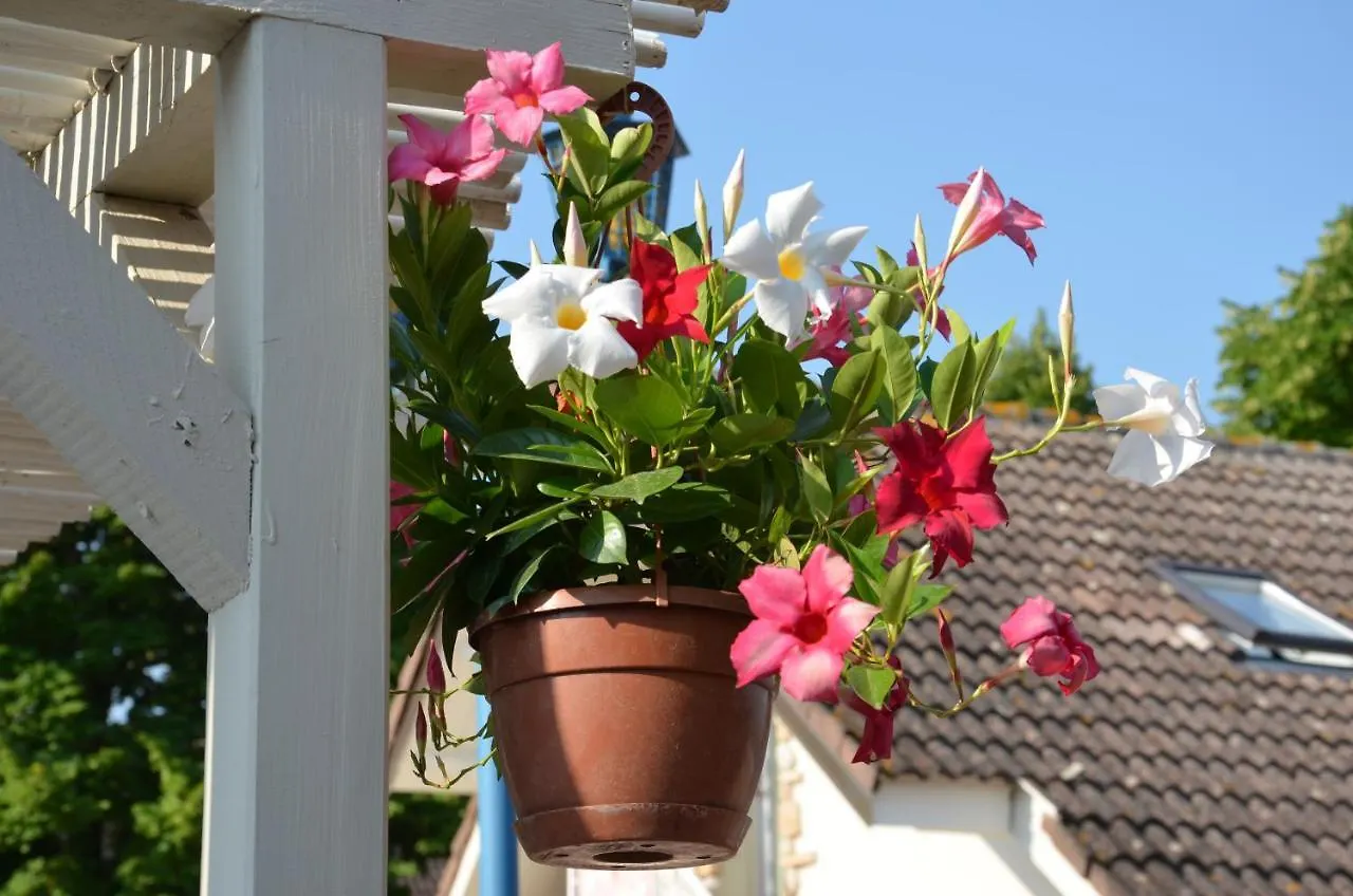 L'Albero Dei Gufi Bed & Breakfast Copparo