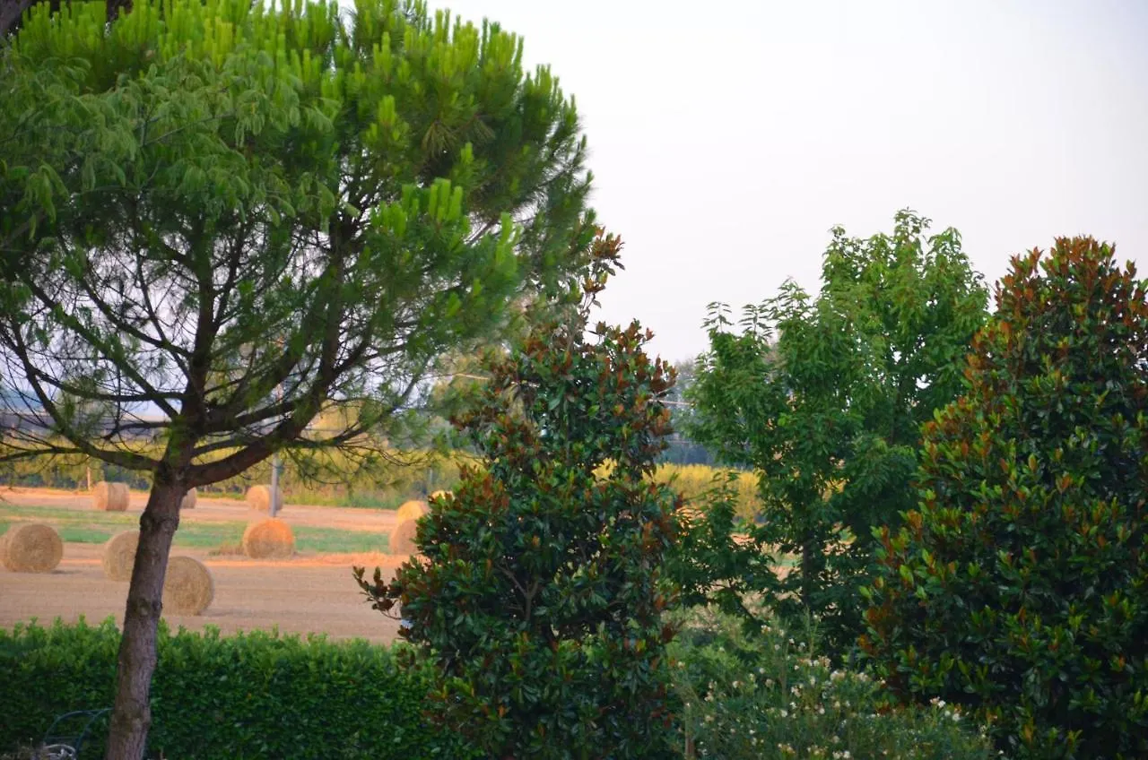 L'Albero Dei Gufi Bed & Breakfast Copparo 0*,  Italy