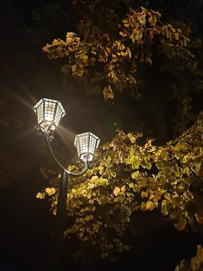 L'Albero Dei Gufi Bed & Breakfast Copparo